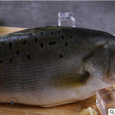 厂家直销海鲜冷冻批发餐饮食材箱装鲈鱼3kg/箱酒店图3