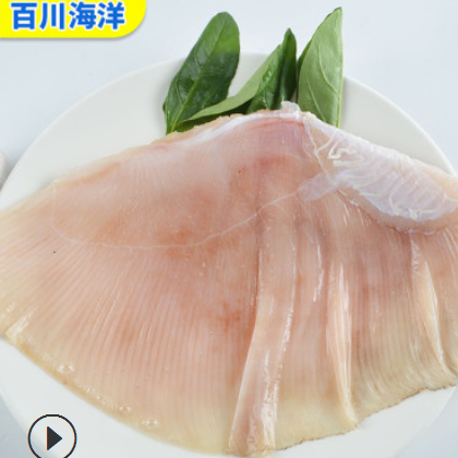 批发供应 老板鱼翅 水产老板鱼翅冷冻海鲜食品 厂家直销图2