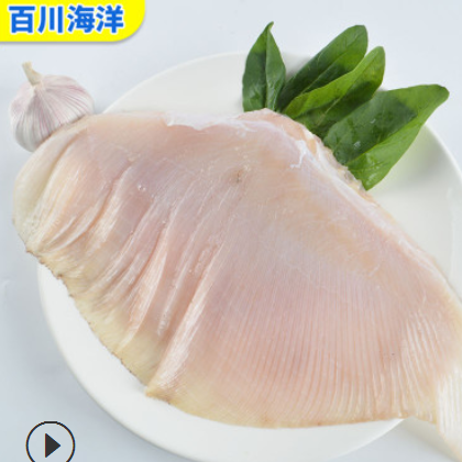 批发供应 老板鱼翅 水产老板鱼翅冷冻海鲜食品 厂家直销图3