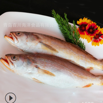 批发调味冰川黄鱼野生开背调味黄鱼 进口黄鱼酒店食材300-400g图3