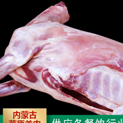 整只内蒙古去皮全羊胴体羊白条羊 烤全羊 酒店食材羊腔子羊排羊腿图3