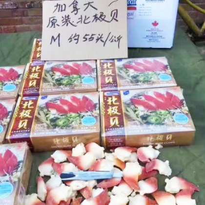 原装加拿大北极贝全规格 日料刺身无冰原装北极贝1KG/盒图2