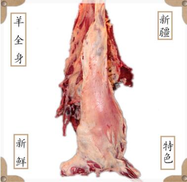 羊羔肉 新疆特色羊全身 烧烤餐饮酒店供应食材