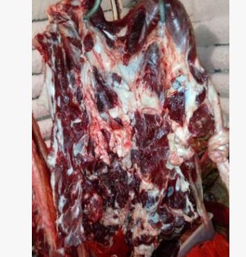驴肉批发 带皮驴肉 新鲜带皮驴肉 量大从优 先杀驴肉图2