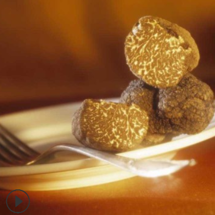 意大利乐其雅牌白松露菌酱La Rustichella WhiteTruffle Pate 90g图2