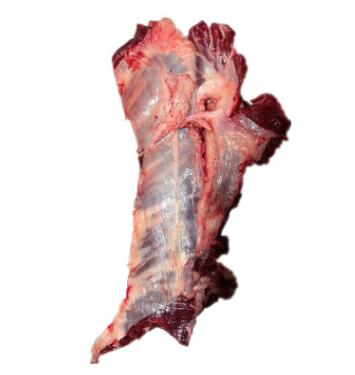 牛腩肉 批发新疆牛肉牛腩肉 酒店饭店家用餐饮生鲜食材