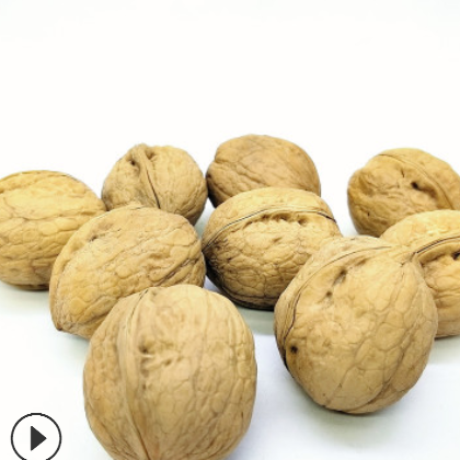厂家直销新疆薄皮核桃 散装批发干果生核桃休闲零食 量大优惠图3