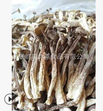 批发供应 鹿茸菌 鹿茸牛肝菌批发 鹿茸菇山珍 干货类食用菌包图2