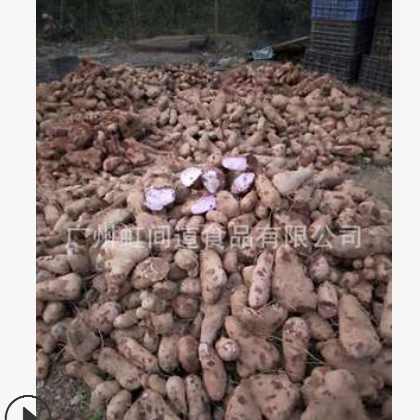 厂家种植新出品一级云南版纳紫山药干片粉无添加纯正一件代发图3