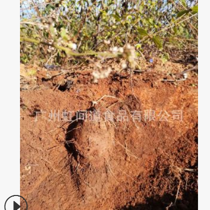 厂家种植新出品一级云南版纳紫山药干片粉无添加纯正一件代发图2
