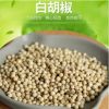 厂家直销白胡椒火锅底料调味料大料正宗家用白胡椒粒500g