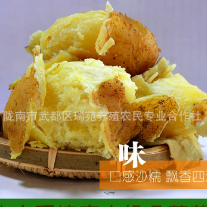 农家新鲜沙土豆甘肃蔬菜高山马铃薯烧烤粉洋芋4斤包邮拍下送一斤图2