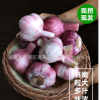 新蒜头紫皮多瓣糖醋新鲜湿大蒜2019营养蔬菜蒜素农家现挖5斤包邮