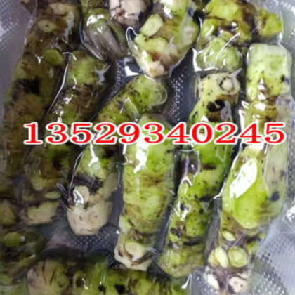 自有基地云南高海拔原生态山葵辣根主茎图2