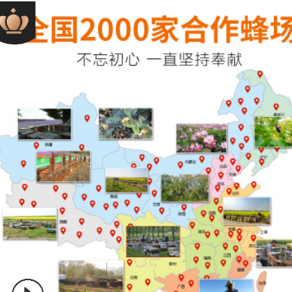 厂家直销 蜂献农家自产天然土蜂蜜500g一件代发蜂蜜贴牌oem代工图3