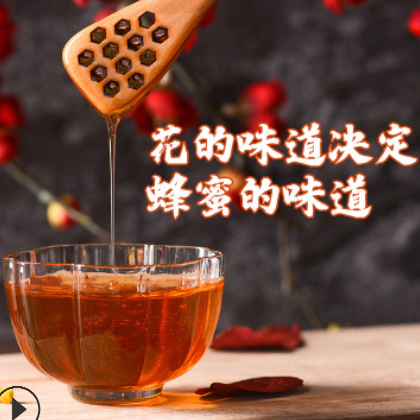 厂家直销 天然野生蜂蜜农家自产百花蜜贴牌代工土特产农家土蜂蜜图2