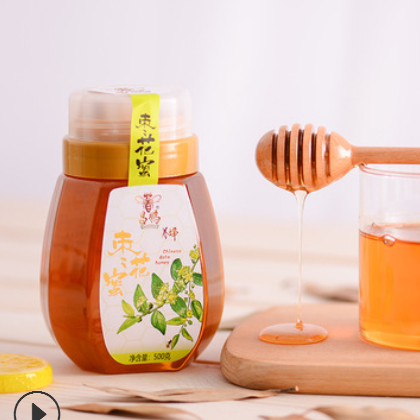 厂家直供 天然蜂蜜 原蜜500克农家自产蜂蜜 OEM贴牌 枣花蜜