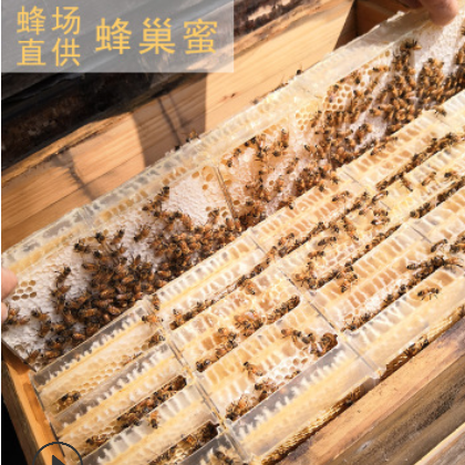 蜂场直供 现货批发野生百花蜜 半斤蜂巢 山花巢蜜荆条蜜蜂巢蜜图2
