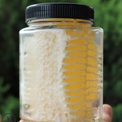 产地直销荆条蜂巢蜜 蜂窝蜜农家土蜂蜜原生态蜂巢蜜250g瓶装封盖