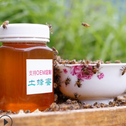 厂家直销 一件代发 农家自产野生裸瓶光瓶蜂蜜土蜂蜜 瓶装蜂蜜图2