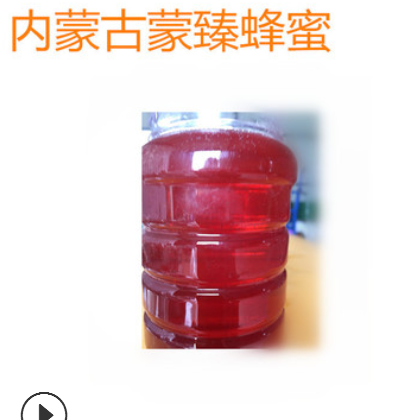 内蒙古土蜂蜜野生紫槐蜂蜜500g批发蜂蜜散装贴牌蜂蜜oem源头厂家图2