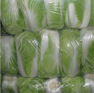 大白菜 新鲜大白菜 新鲜蔬菜大白菜 高山娃娃菜图3