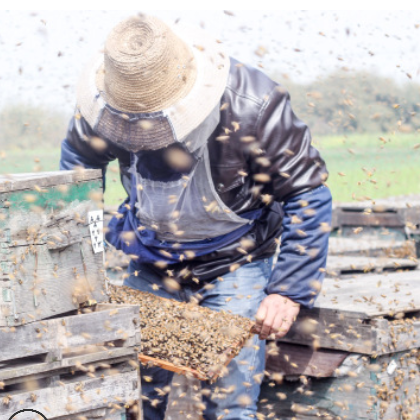 蜂场直供批发代工原生态正宗秦岭土蜂蜜百花成熟巢蜜500g一件代发图2