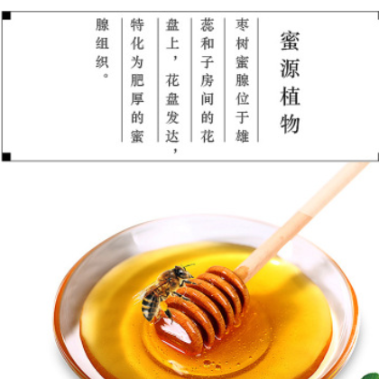 枣花蜂蜜野生天然农家自产成熟蜂蜜大枣蜂蜜500g瓶装图2