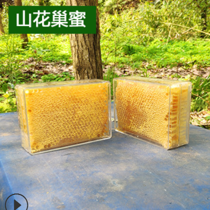 荆条蜂巢蜜500g 散装巢蜜 一件代发天然峰巢 纯蜂蜜土蜂蜜 百花蜜图2