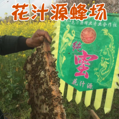 土蜂蜜农家百花土蜂蜜原蜜 油菜花蜂蜜批发 蜂场直供油菜花雪蜜图2