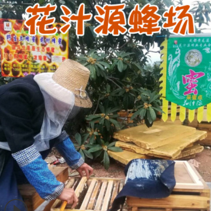 枇杷土花蜂蜜 黄龙溪蜂场批发土蜂蜜成熟蜂蜜 农家土蜂蜜一件代发图2