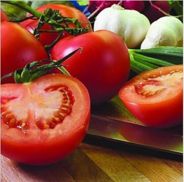 优质西红柿 新鲜蔬菜 无公害番茄 绿色无污染