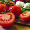 优质西红柿 新鲜蔬菜 无公害番茄 绿色无污染