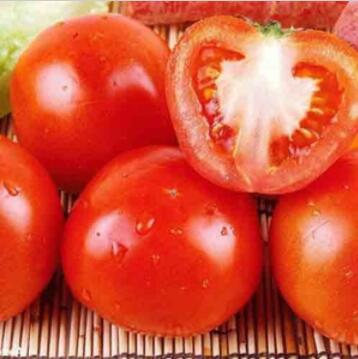 新鲜有机蔬菜 新鲜西红柿