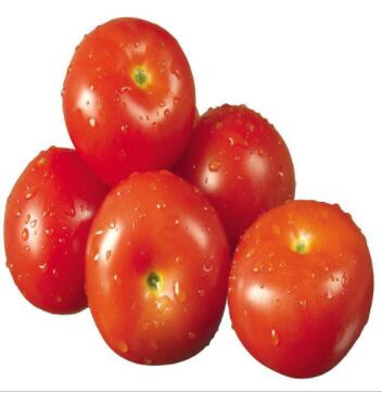 销售西红柿