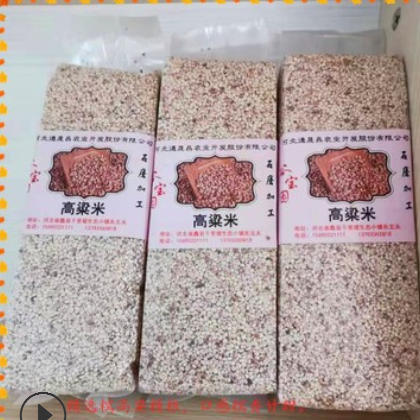 低温烘焙糯高粱米 熟高粱米 打粉 原料 五谷豆浆 糯高粱米图1