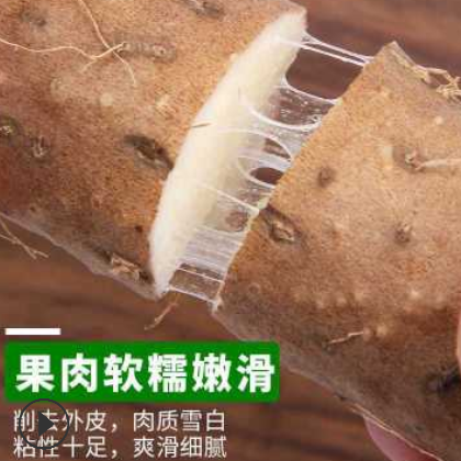 蠡县批发现挖怀山药铁棍淮山药新鲜铁杆垆土麻山药小白嘴一件5斤图3