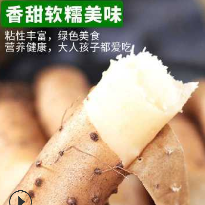 蠡县批发现挖怀山药铁棍淮山药新鲜铁杆垆土麻山药小白嘴一件5斤图2