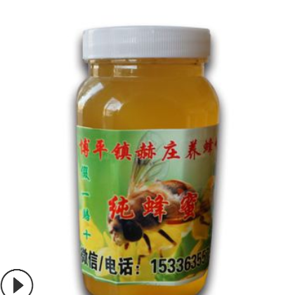 厂家直供散装蜂蜜 农家自产量大从优五倍子蜜 1000g瓶装五倍子蜜图3