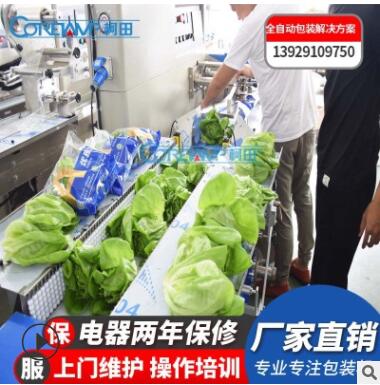 针孔排蔬菜包装机生产设备 透明膜菠菜自动封口机 横式蔬菜套袋机图3
