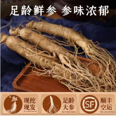 产地直销人参 足龄鲜参带土新鲜人参现挖现发150g批发图2