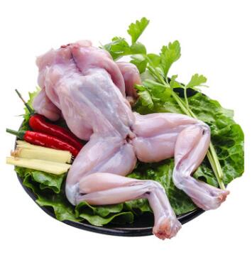 小龙鱼御用牛蛙 半成品2.5kg/袋 速冻水产食材图2