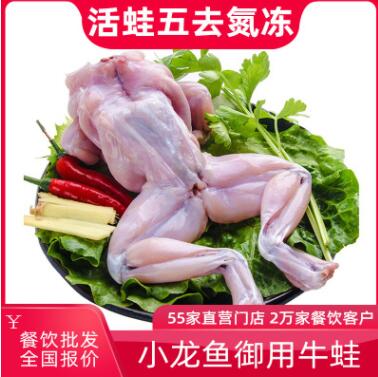 小龙鱼御用牛蛙 半成品2.5kg/袋 速冻水产食材