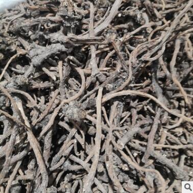 蒲公英整根 水洗蒲公英整根个子中药材茶用煲汤图3