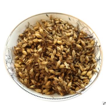 生麦芽炒麦芽浮小麦淮小麦 干净无硫批发中药材