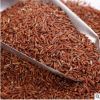 红米 红糙米 五谷杂粮胚芽米 粗粮红粳米玄米农家大米