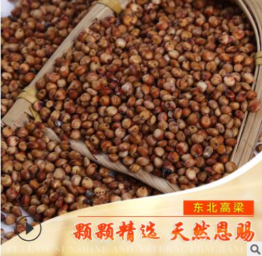 红高粱批发新货优质带皮东北红高粱酿酒原料信鸽饲料东北高粱袋装图2