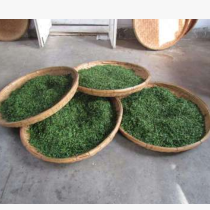 大田崂山绿茶2017新茶礼盒 春茶500g炒青豆香郁青岛崂山芽茶图3