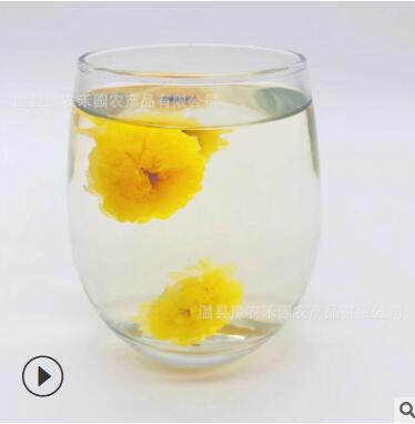河南特产怀菊花云台冰菊怀黄菊养生花果茶怀菊花图3