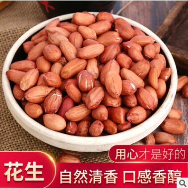 厂家直销沂蒙山生态花生米 散货批发500g真空包装花生米图2